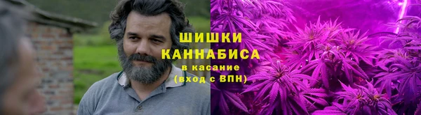 спиды Арсеньев