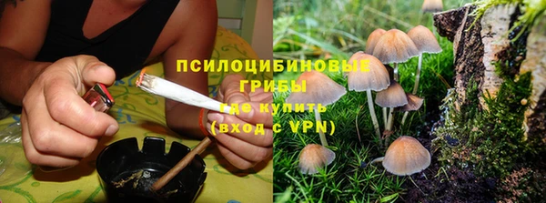 спиды Арсеньев