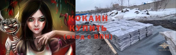 спиды Арсеньев